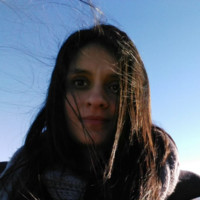 Karen Lizeth Salcedo Rodríguez