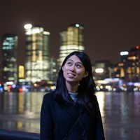 Fan Yingping