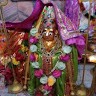 Jignesh Bhoraniya