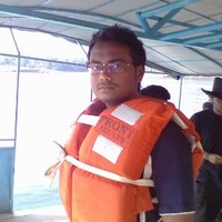 Gokul Krishnan N