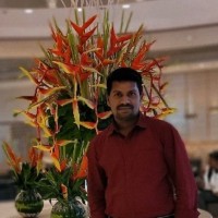 Velu A