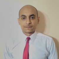 Hesham Anwar Amin