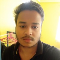 Partha Protim Bora