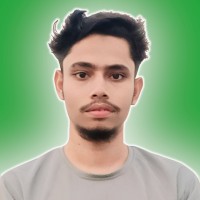 Niloy Mahmud Apu