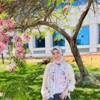 Nour Madi