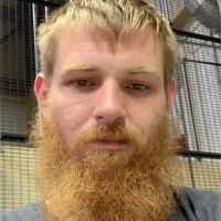 Harry Trigger