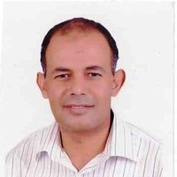 adel salman