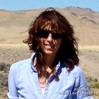 Andrea Maki