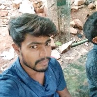 Subbu Koduru