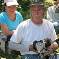 Rob Fender