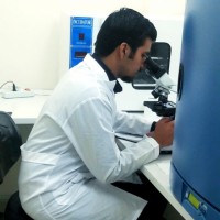 Yaser Yavari