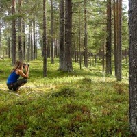 Victoria McNeil-Kornevall