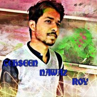 Tehseen Roy