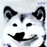 Jake Yt