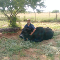 Jose Sada