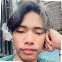 Aldi Pra Febrian