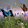 Cynthia Bolinger