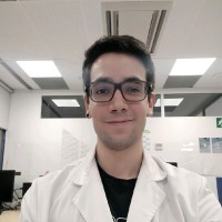 David Núñez Cueto