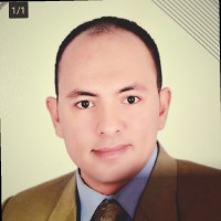 Sayed Mohsen