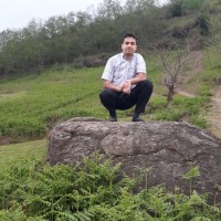 Hamed Khaledi
