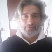 licio dario zanetti