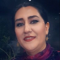 Rahimeh Rezaei