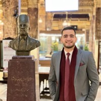 Amr Essam El Din Salah