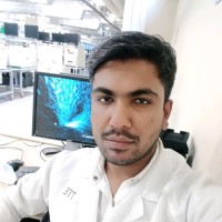 Waseem Ali Bughio