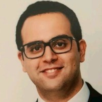 Hichem Triki, Dmd