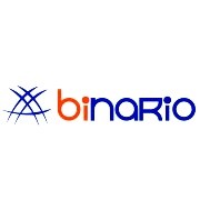 Binario Internacional