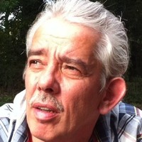 Bert Wijlens