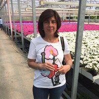 Luisa Cherubini