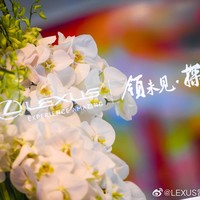 林华聪