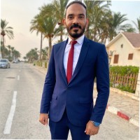 Amr Mahmoud