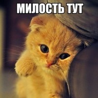Регина Haerzamanovaregina