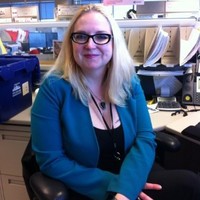 Kathy Harvey