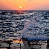 Shimaa Mohamed Developer