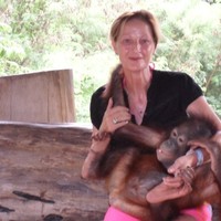 Luciana Restuccia