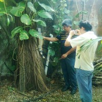 Napoleón Salazar Rodríguez