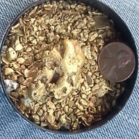 Denali Gold