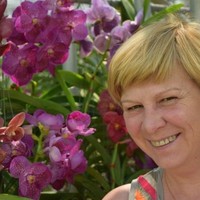 Dorine Dewilde