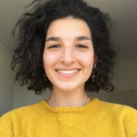 Assaida Z. Nefzi