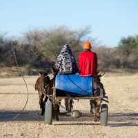 SIAPAC International