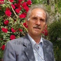 Ali Jalali