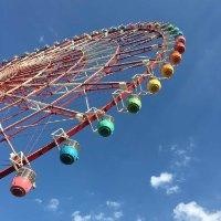 张西蒙