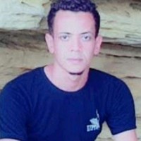 Tamer Mohamed