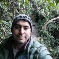 Daniel Felipe Zunino Urrutia