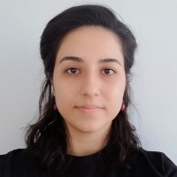 Ebru Aslantürkiyeli