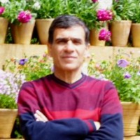 alireza javaheri