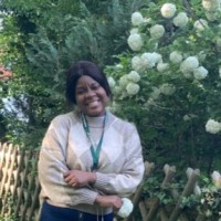 Eniola O. Awodele, Pmp, Psm